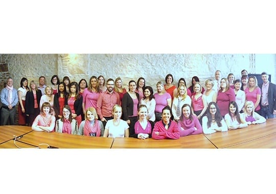 https://www.skylinegroupofcompanies.ca/wp-content/uploads/2014/02/pinkshirtday-2014-540x380-1.jpg