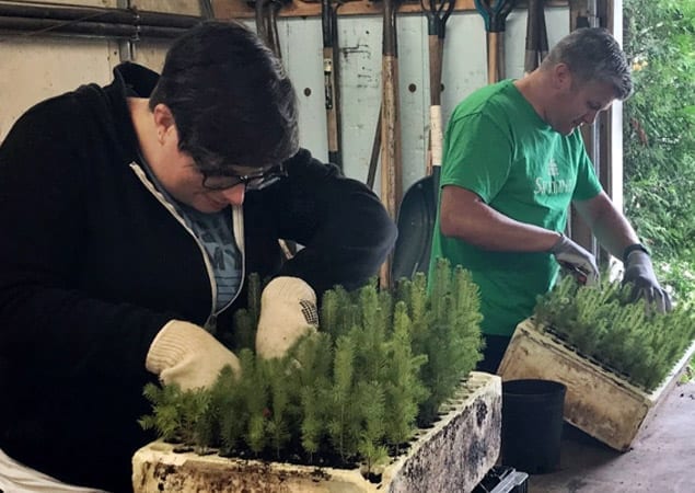 Planting trees at the Green Legacy Wellington tree nursery in Puslinch, ON.