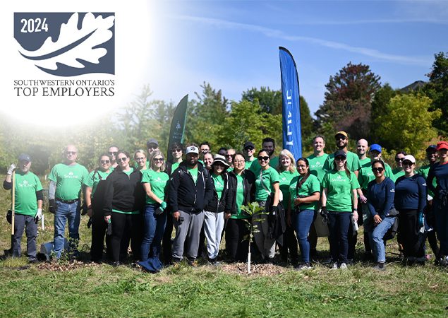 Skyline employees planting trees