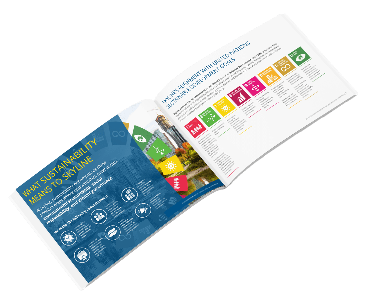 Skyline Sustainability PDF Graphic